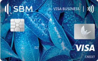 Visa Business Credit